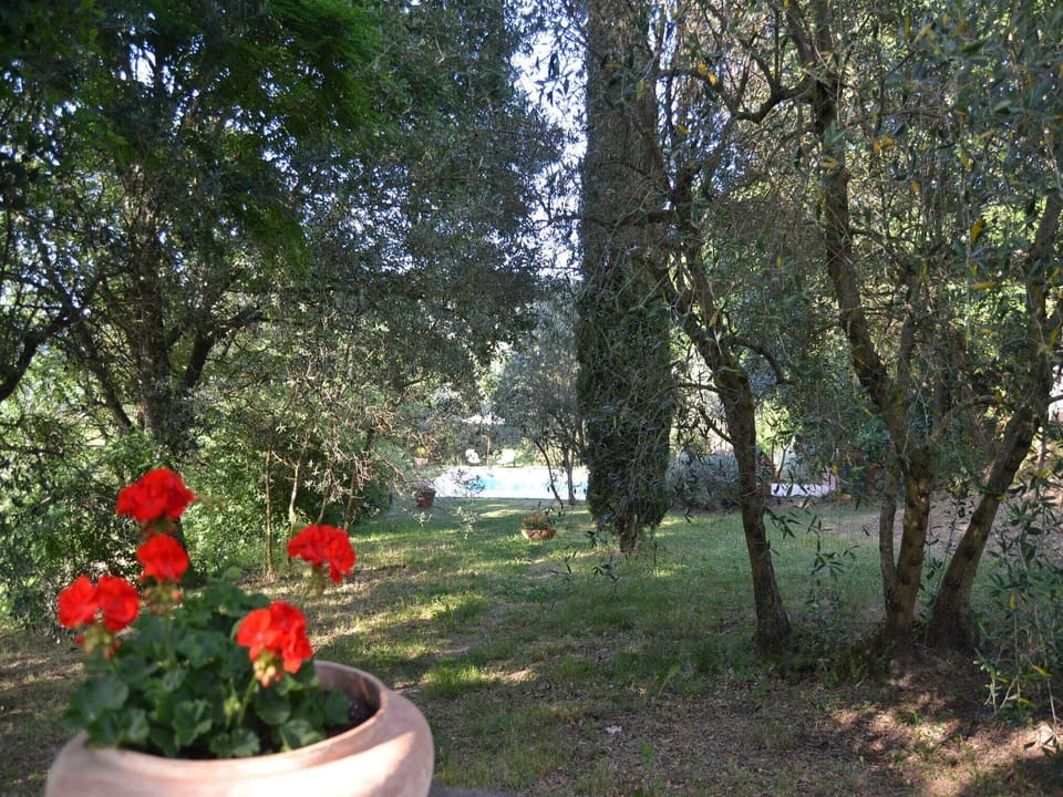 Garden [summer]