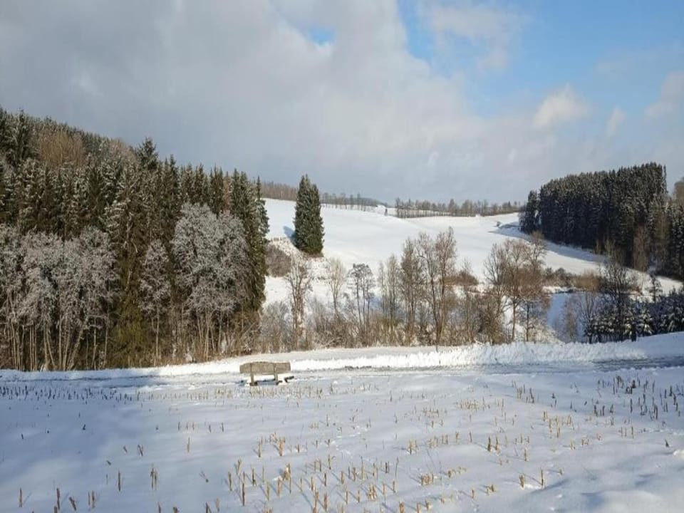 Region [winter] (>5 km)
