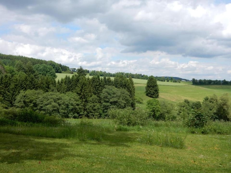 Region [summer] (>5 km)