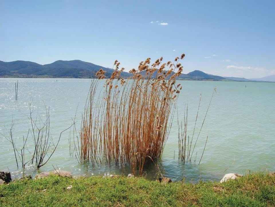 Surroundings [summer] (1-5 km)