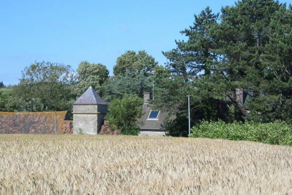 View from Holiday Home [summer]