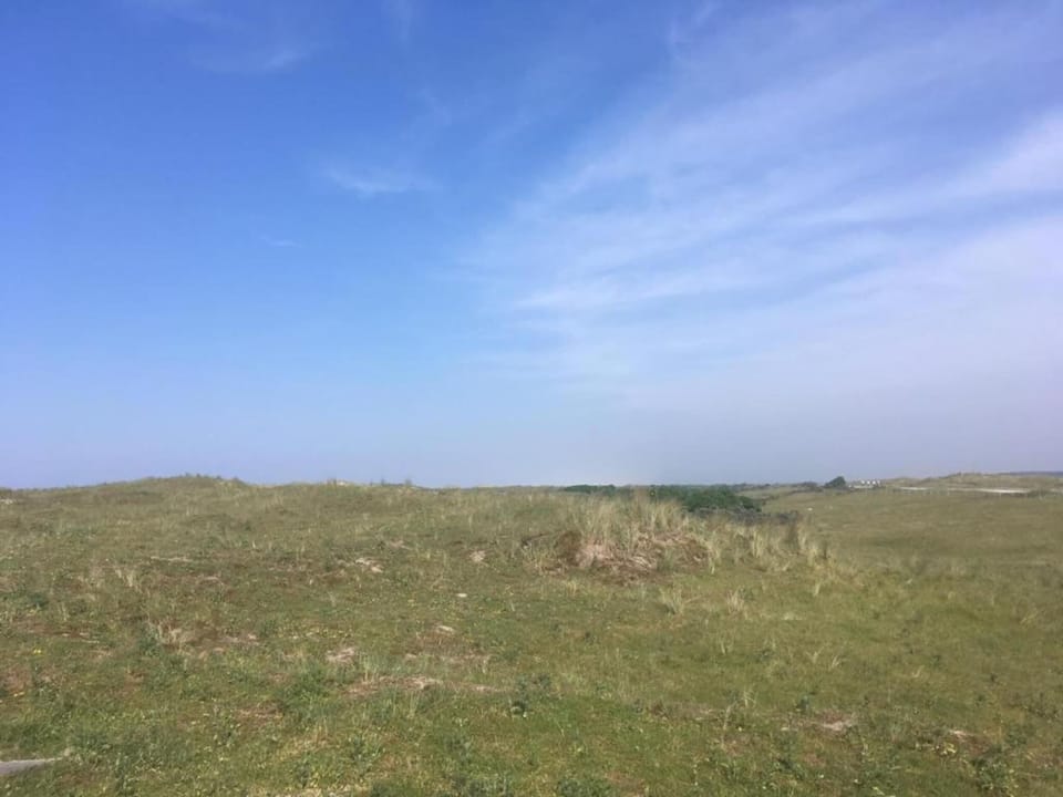 Region [summer] (>5 km)