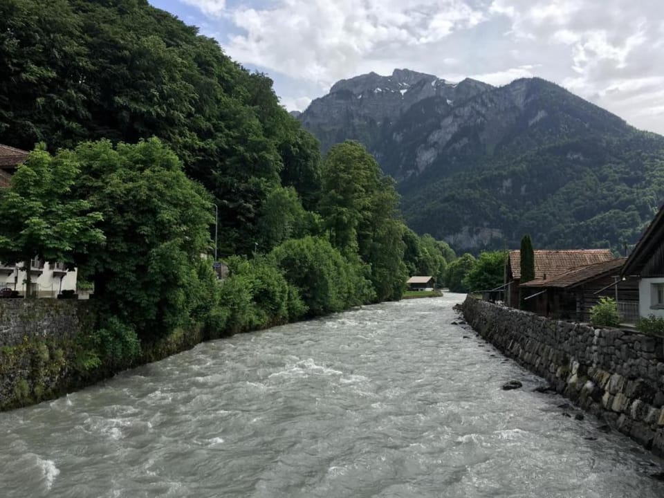 Region [summer] (>5 km)