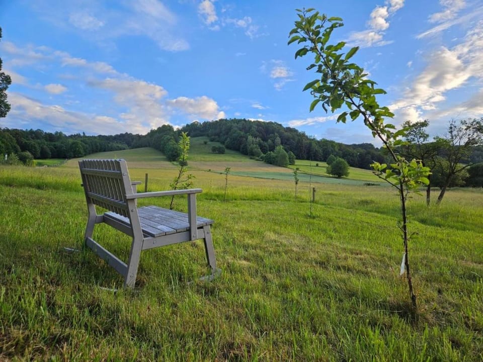 Surroundings [summer] (1-5 km)