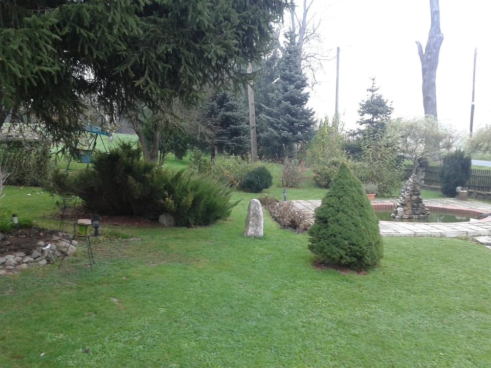 Garden [summer]