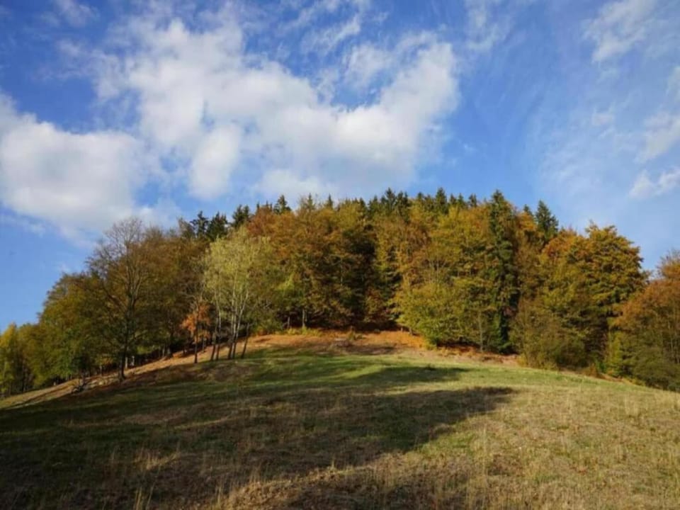 Immediate Surroundings [summer] (<1 km)