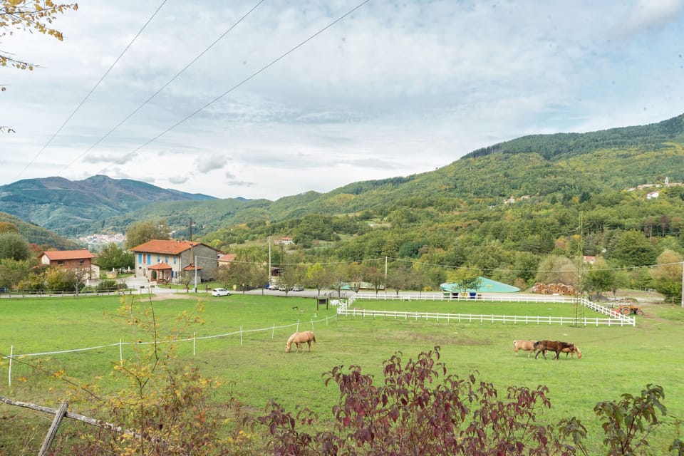 Surroundings [summer] (1-5 km)