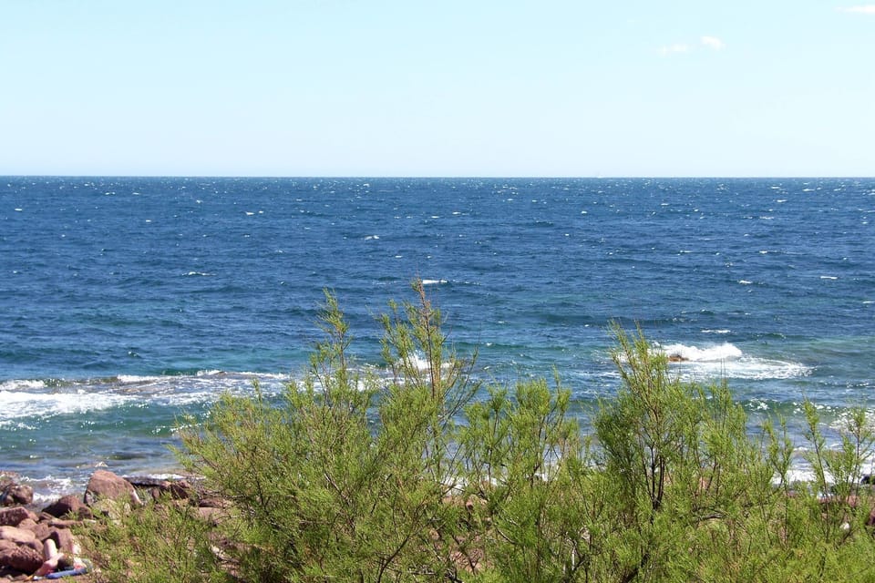 Immediate Surroundings [summer] (<1 km)