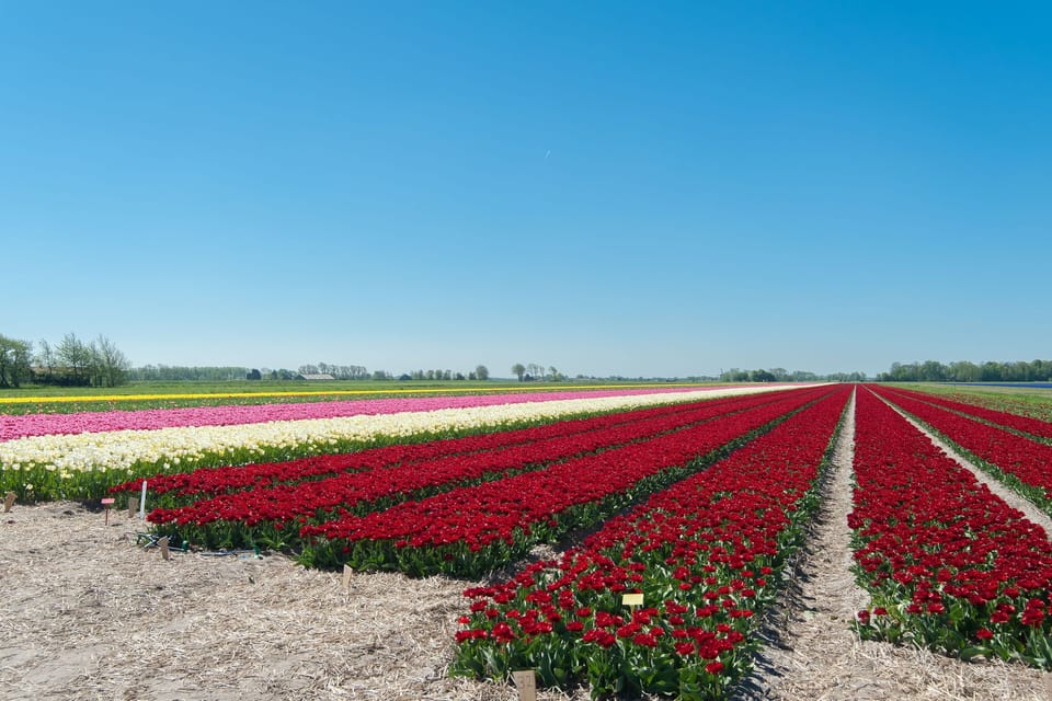Surroundings [summer] (1-5 km)