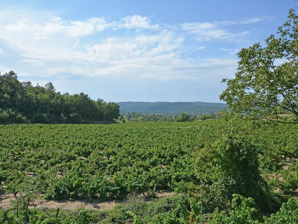 Immediate Surroundings [summer] (<1 km)