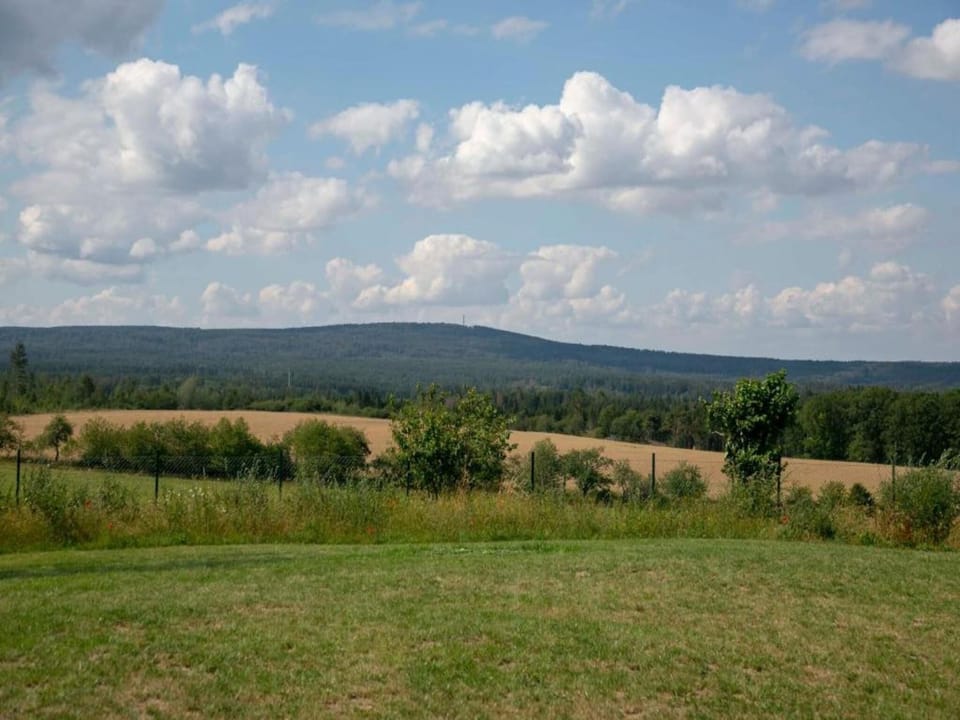 Region [summer] (>5 km)
