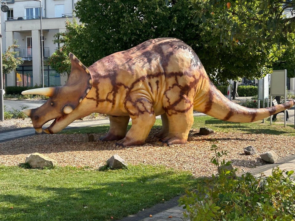 Immediate Surroundings [summer] (<1 km)