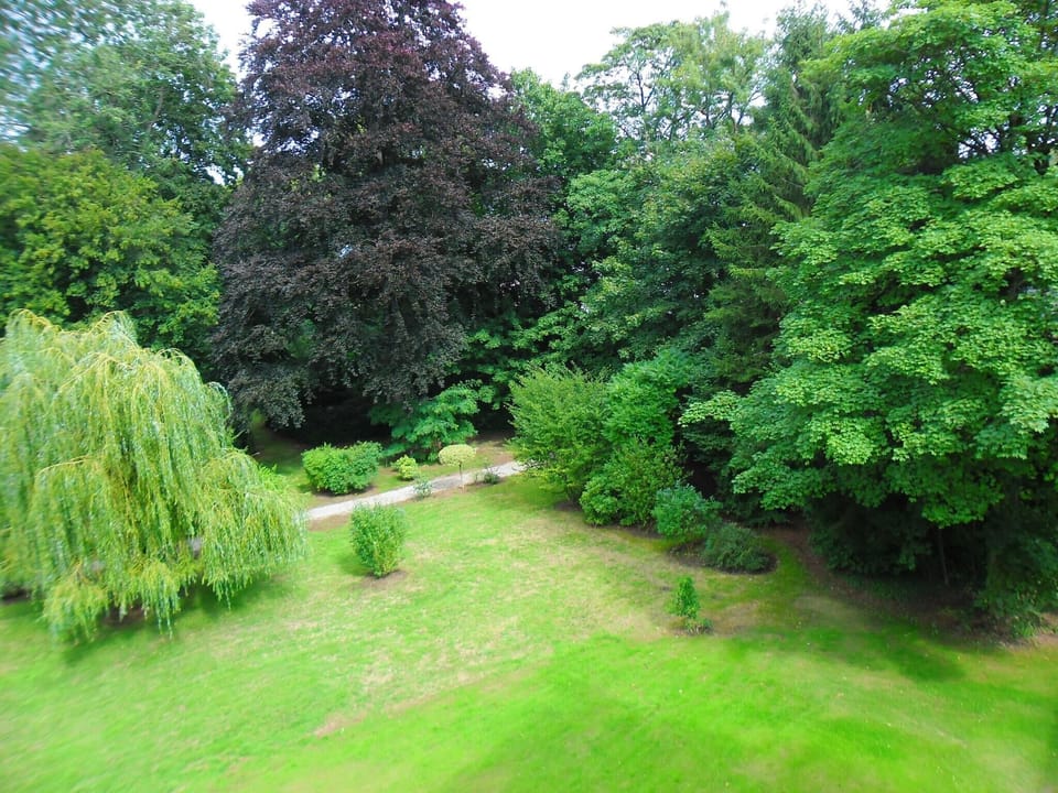 Garden [summer]