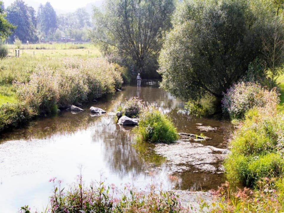 Region [summer] (>5 km)