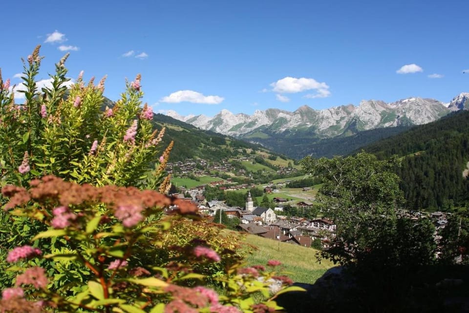 Region [summer] (>5 km)