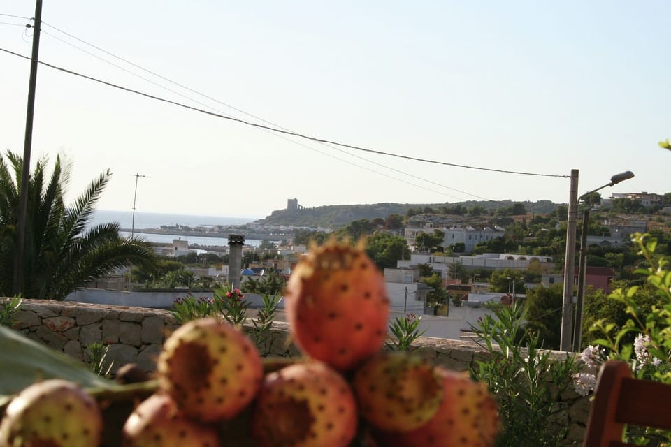View from Holiday Home [summer]