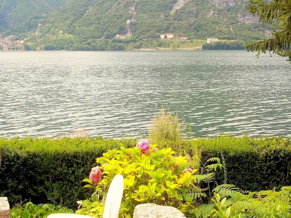 Immediate Surroundings [summer] (<1 km)