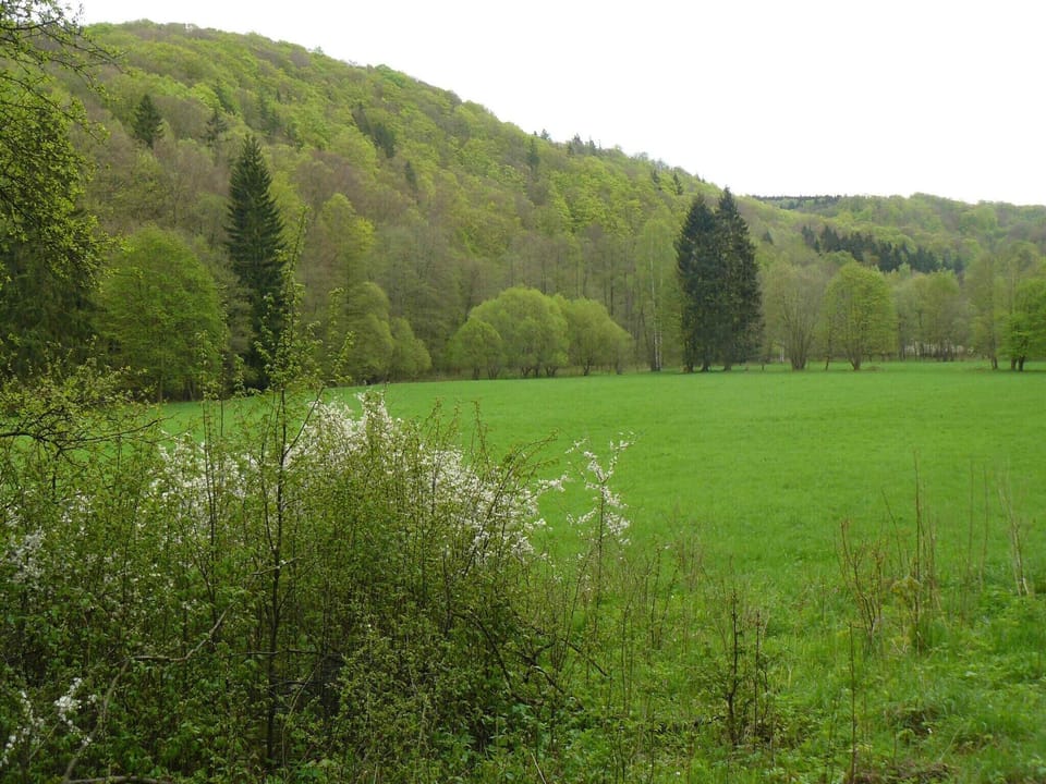 Immediate Surroundings [summer] (<1 km)