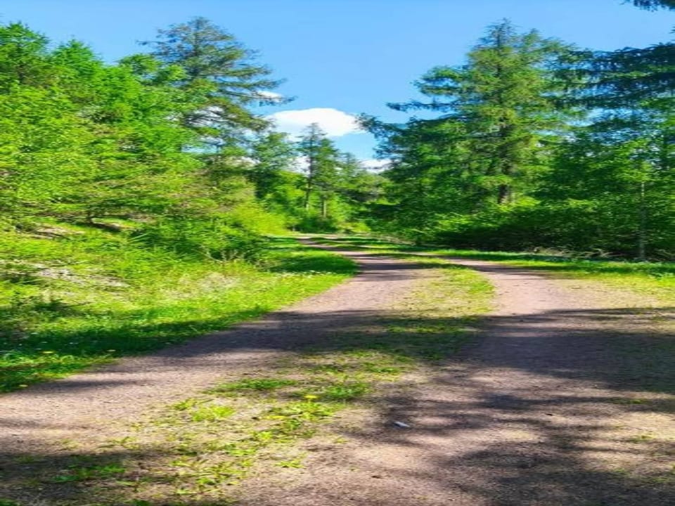 Region [summer] (>5 km)