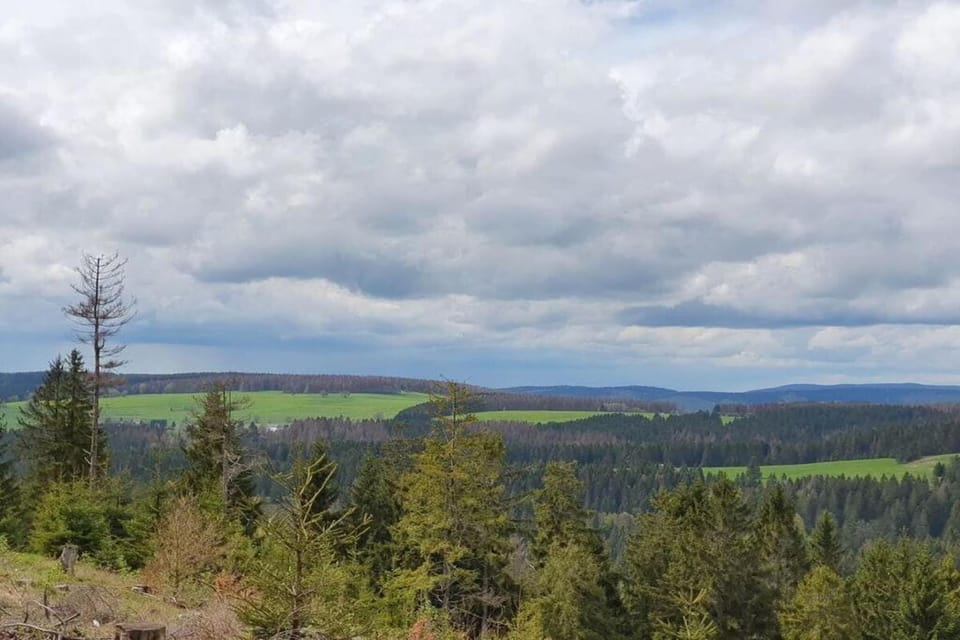 Region [summer] (>5 km)