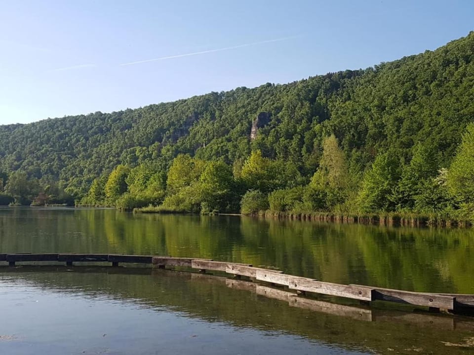 Region [summer] (>5 km)
