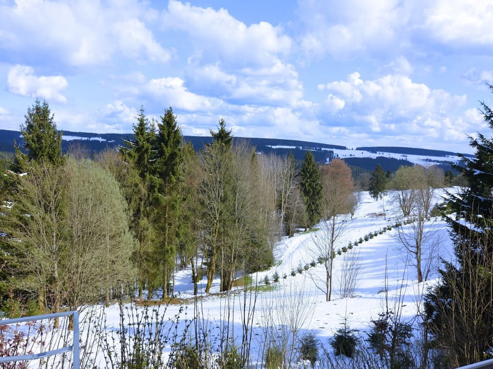View from Holiday Home [winter]