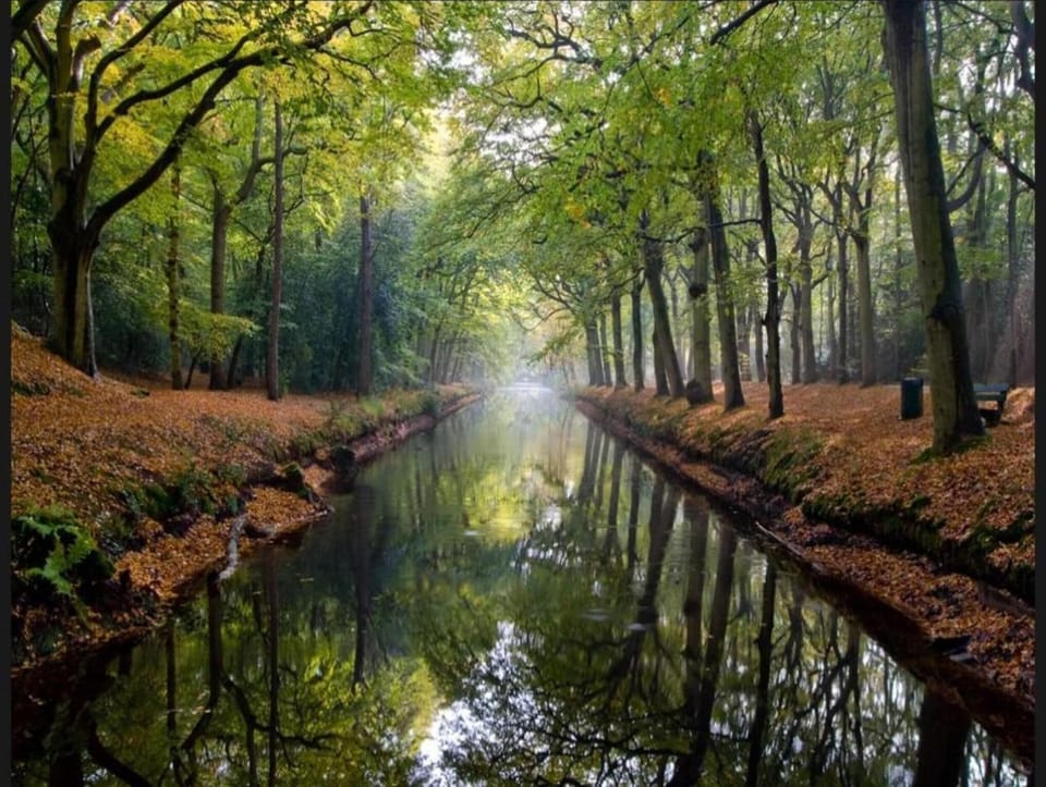 Surroundings [summer] (1-5 km)