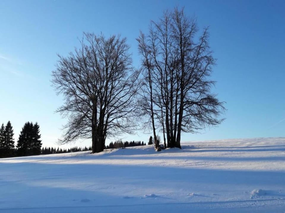 Region [winter] (>5 km)