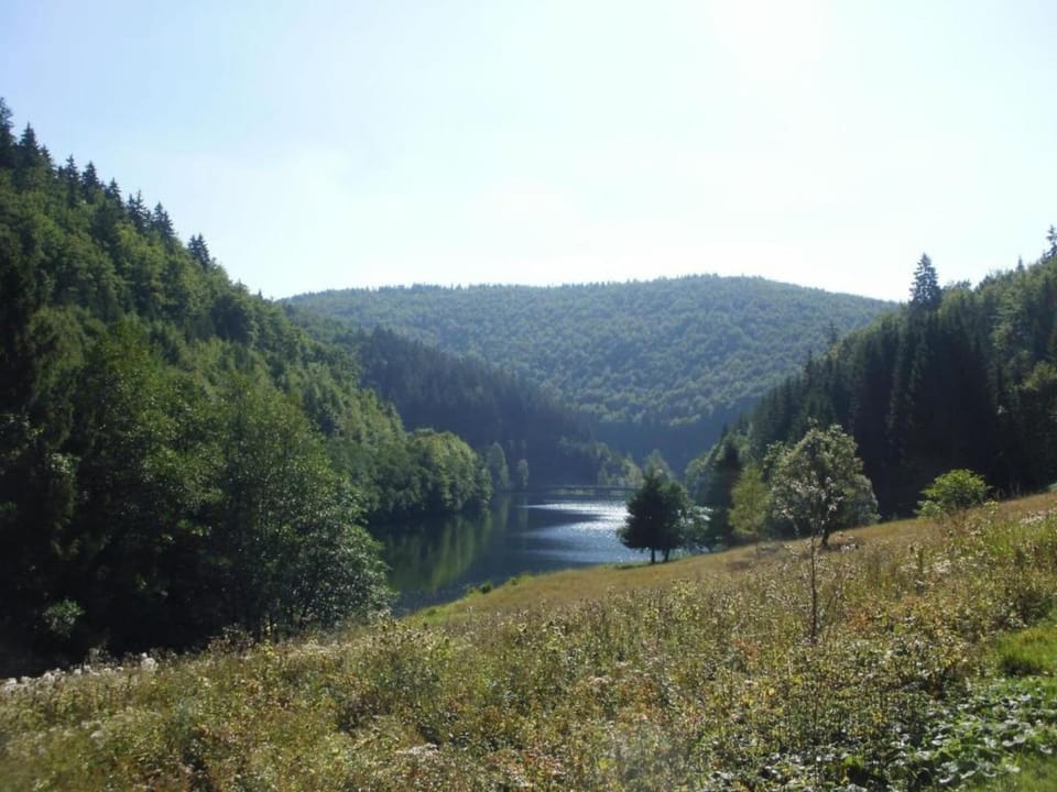 Region [summer] (>5 km)