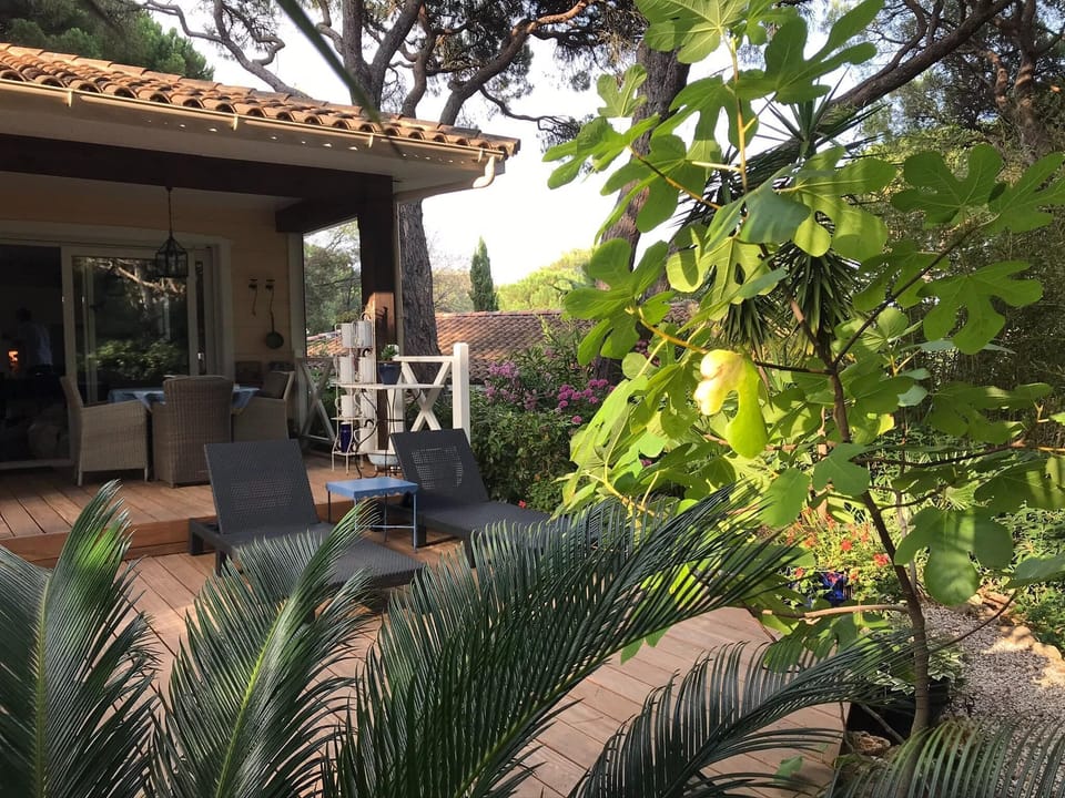 Holiday Home Exterior [summer]