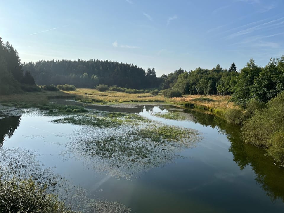 Surroundings [summer] (1-5 km)