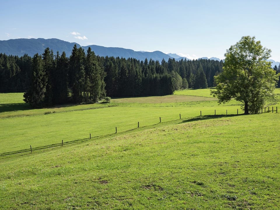 Immediate Surroundings [summer] (<1 km)