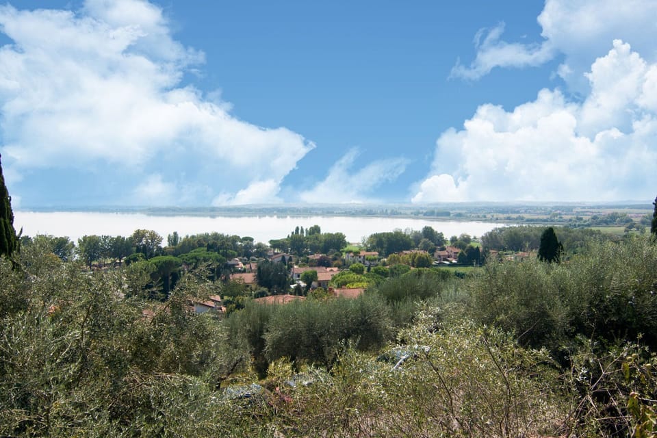View from Holiday Home [summer]