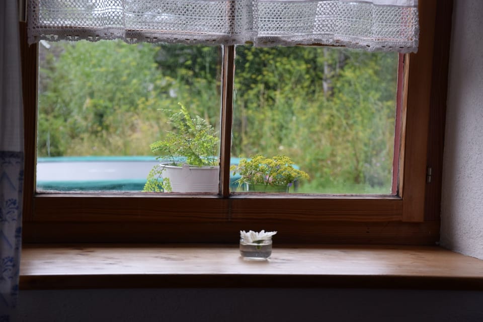 View from Holiday Home [summer]