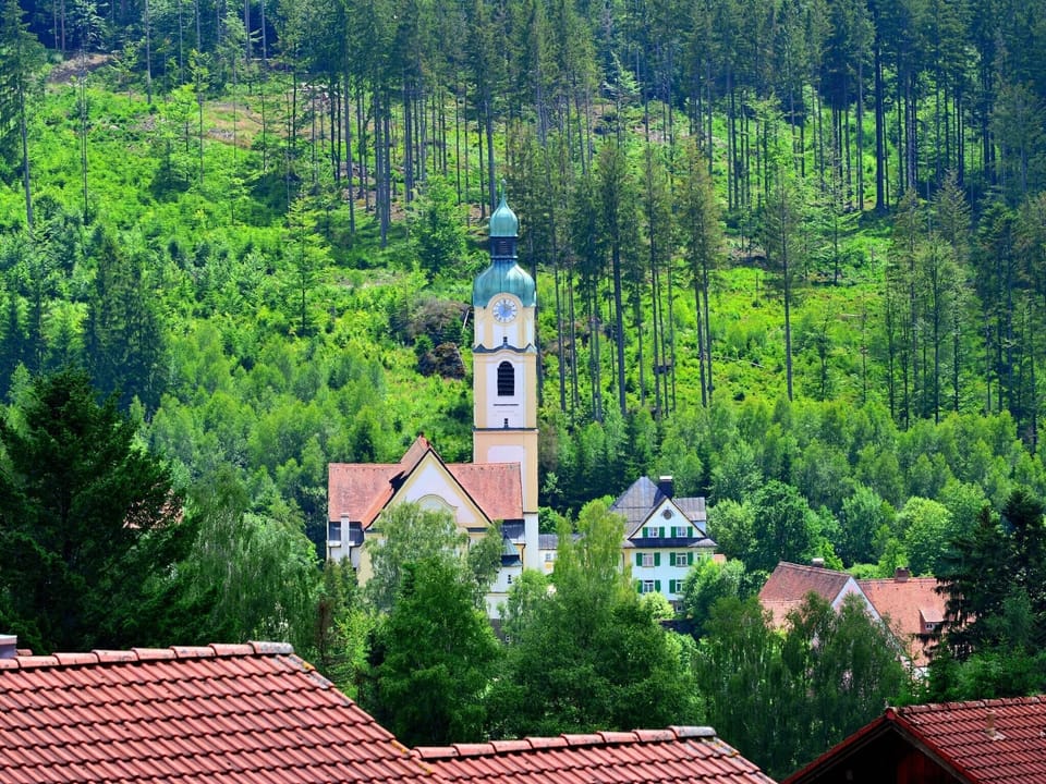 Surroundings [summer] (1-5 km)