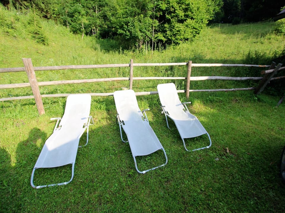 Garden [summer]