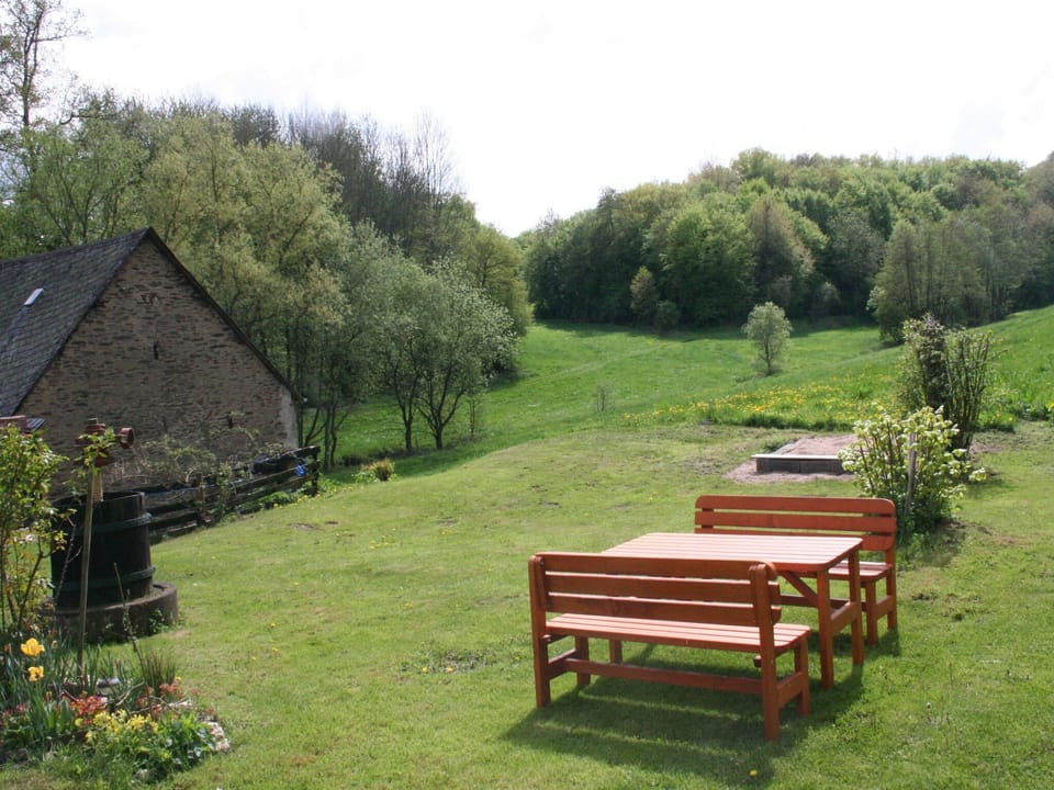 Garden [summer]