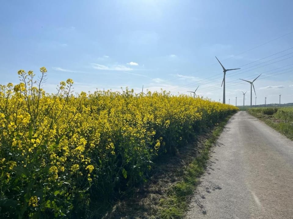 Region [summer] (>5 km)