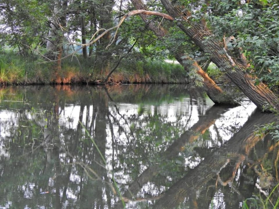 Surroundings [summer] (1-5 km)