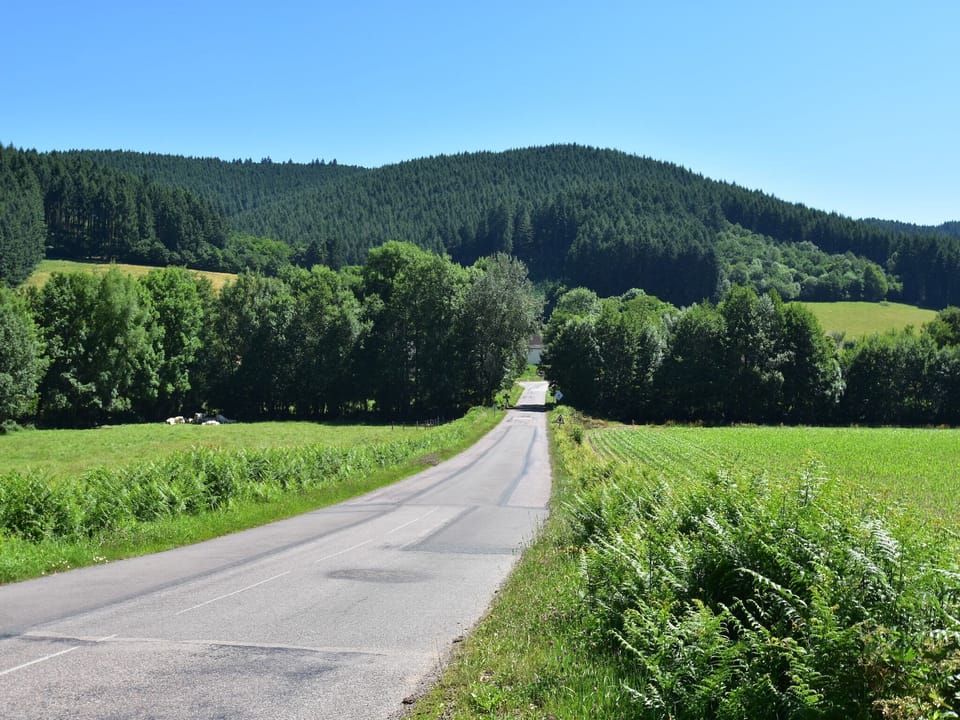 Region [summer] (>5 km)