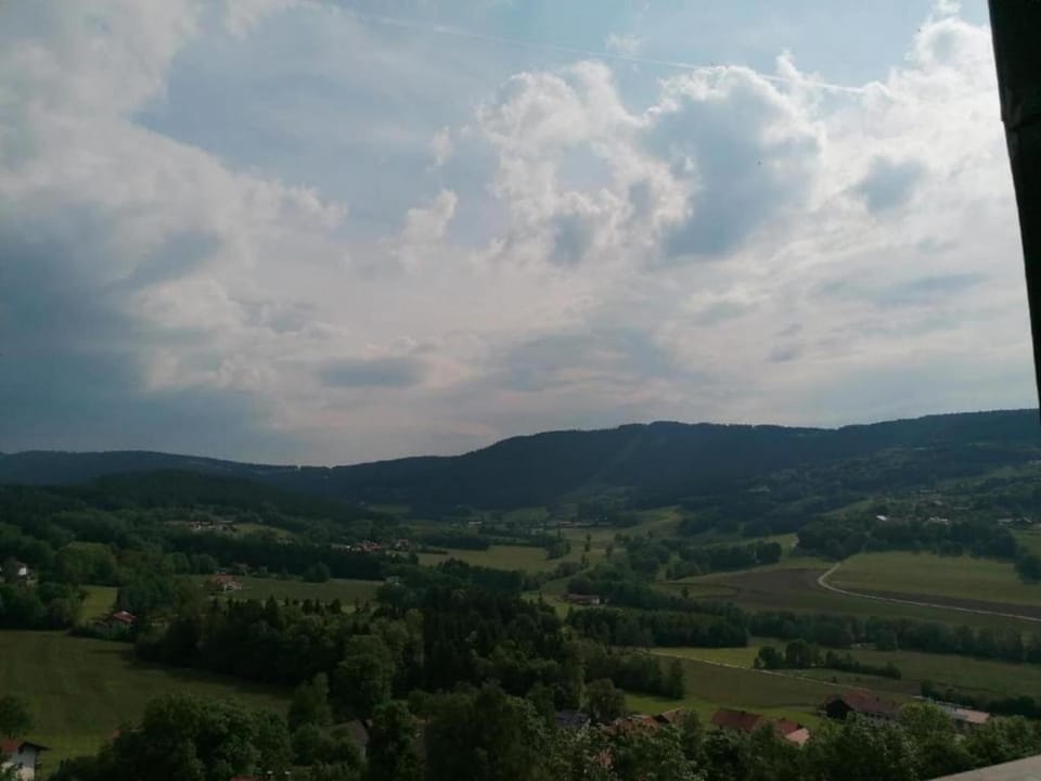 Region [summer] (>5 km)