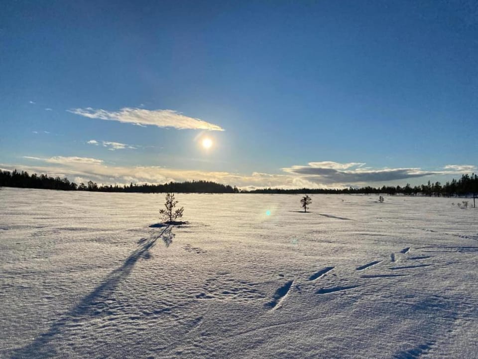 Region [winter] (>5 km)