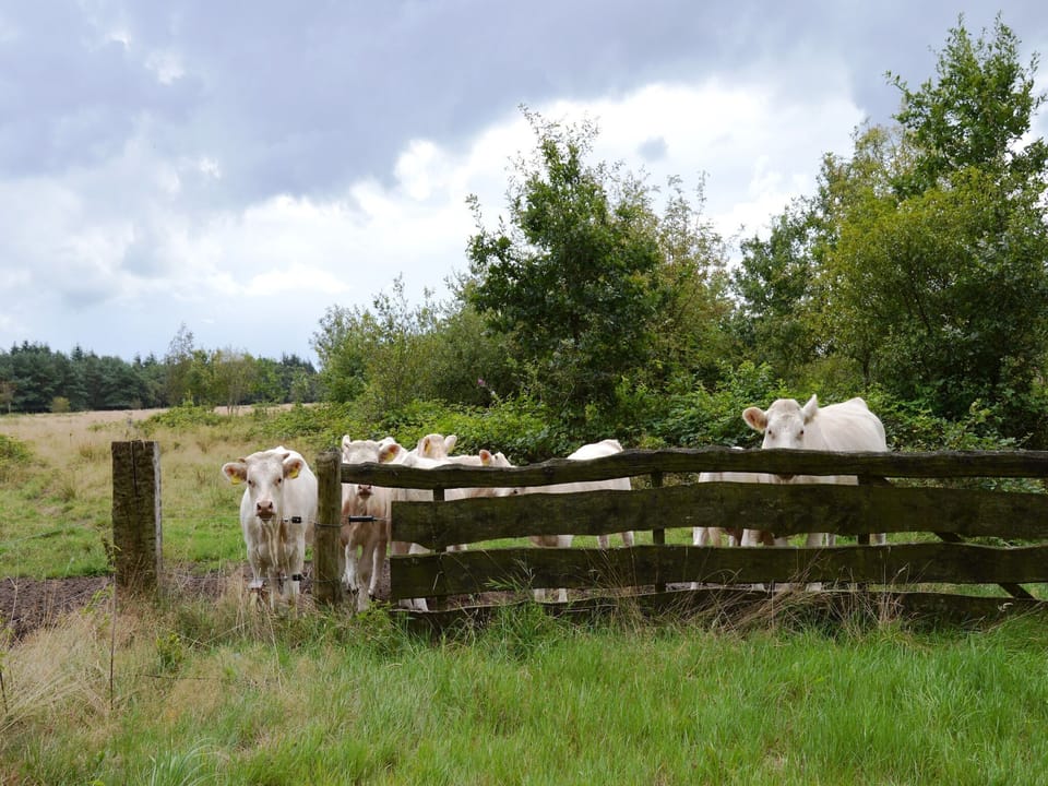 Surroundings [summer] (1-5 km)