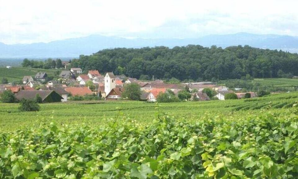 Surroundings [summer] (1-5 km)