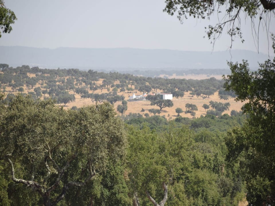 Immediate Surroundings [summer] (<1 km)