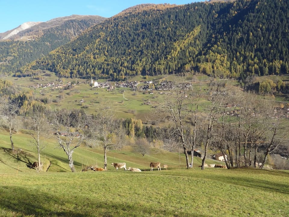 View from Holiday Home [summer]