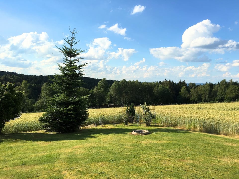 Garden [summer]