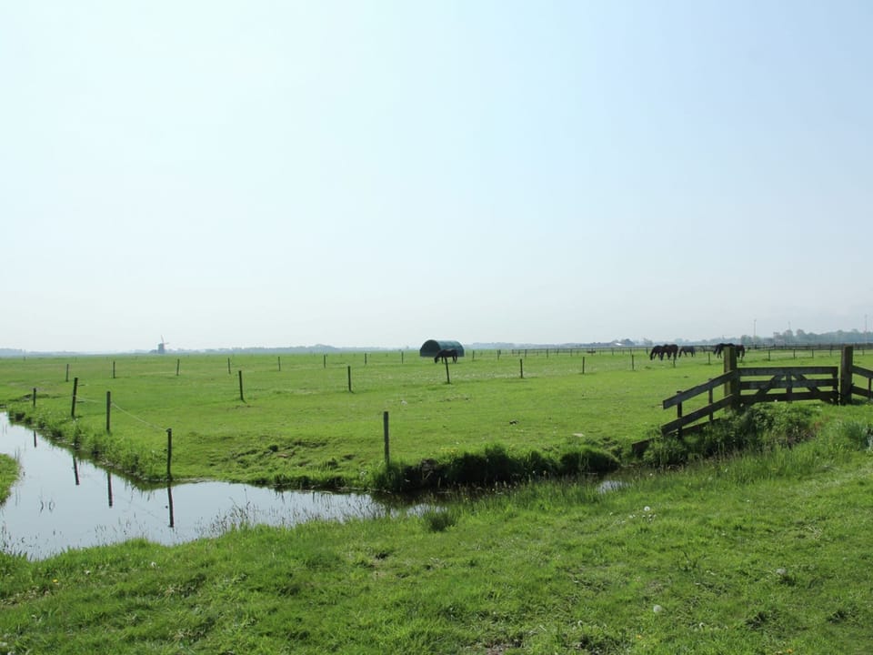 View from Holiday Home [summer]