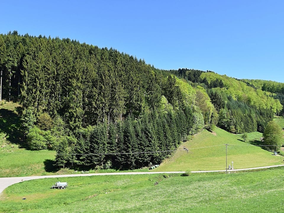 View from Holiday Home [summer]