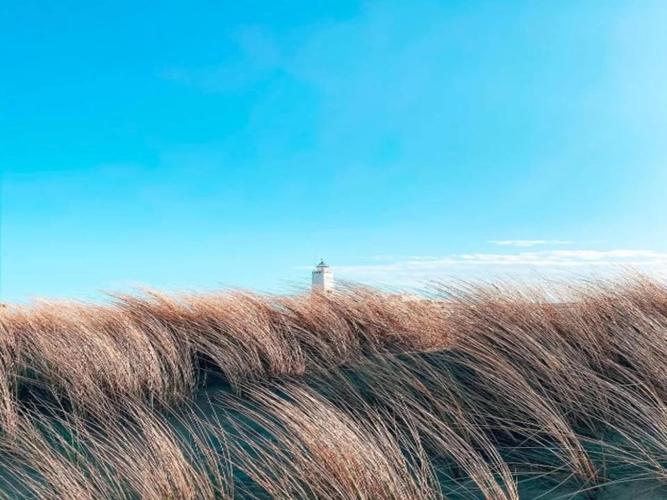 Surroundings [summer] (1-5 km)